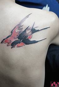 Swallow tattoo picture of back shoulders