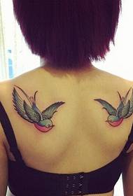 Female shoulders fashion good looking colorful swallow tattoo pattern pictures