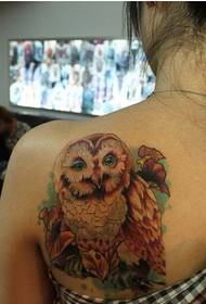 Girls shoulders fashion good looking classic owl tattoo picture pictures