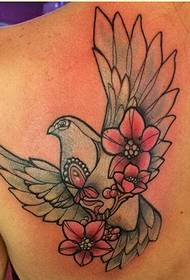 Stylish shoulders beautiful looking colorful peace dove tattoo picture
