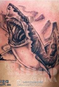 Reālistisks un reālistisks lielas haizivs tetovējuma modelis