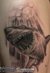 Rozdarty wzór tatuażu rekina