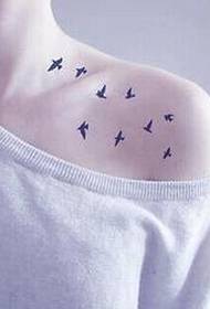 Pure beautiful shoulders fresh and beautiful bird tattoo pattern pictures