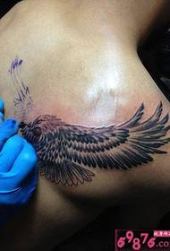 Man back shoulder eagle tattoo operation scene picture