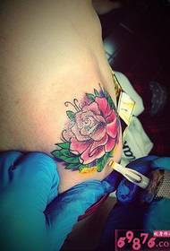 Rose tatuiruotės scenos nuotrauka