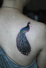 Beautiful and beautiful peacock tattoo pattern picture on the shoulder of a girl
