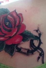 Mergaitės pečiai HD gražios gražios rožių tatuiruotės nuotraukos