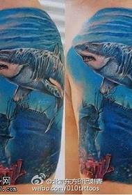 Painted sea shark tattoo pattern