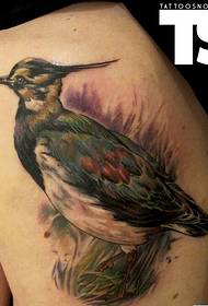 Image de modèle de tatouage oiseau personnalité épaule