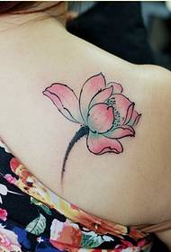 Female shoulders only look at the colorful lotus tattoo pattern pictures