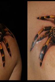 Shoulder color spider tattoo pattern