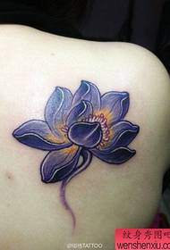 Vrouwelijke schouders populaire prachtige lotus tattoo patroon