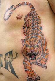 waist color tiger tattoo pattern