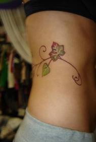 struk boja mala penjačica biljka tetovaža uzorak