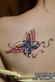 model de tatuaj fluture de culoare umăr a unei femei