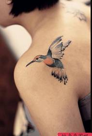 一幅女人肩背小蜂鸟纹身图案