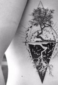 Tattoo side waist male boy side waist rhombus and big tree tattoo picture