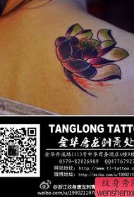 Ang mga balikat ng mga batang babae ay maganda ang bagong tradisyonal na pattern ng tattoo ng lotus