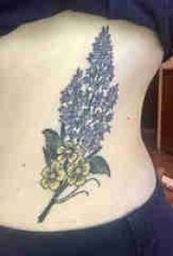 Κόμματος πλευρά του κοριτσιού τατουάζ φυτών σε έγχρωμη εικόνα τατουάζ εργοστάσιο