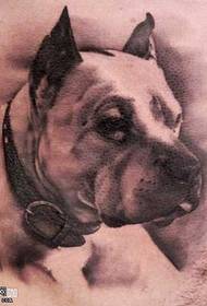 taille Knap hond tattoo-patroon
