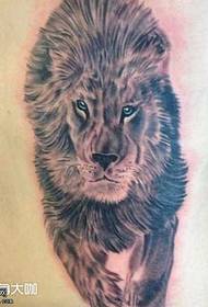 talio leono domina tatuaje ŝablono