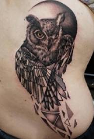 boys back waist on black Thorn geometric simple line small animal owl tattoo picture