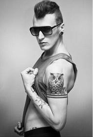 Umerii frumoși europeni și americani frumoase ilustrații tatuaj bufniță alb-negru