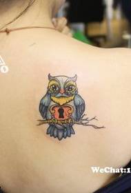 Female shoulder color owl tattoo pattern