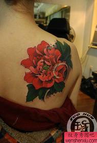 Jentas skuldre vakre poppion tatoveringsmønster