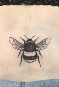 girl's waist on black point thorn simple line small animal bee tattoo picture