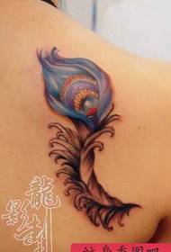 Beauty shoulder colorful peacock feather tattoo