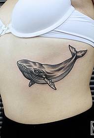 Chica flanco ballena patrón de tatuaje de línea europea y americana