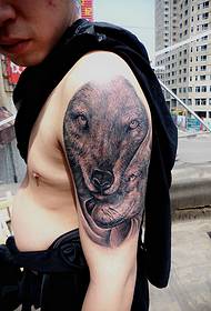 Sklep z tatuażami Tianjin Carving Qi działa na tatuaż: wzór tatuażu głowy wilka na ramieniu