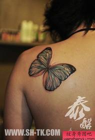女雙肩美麗又流行彩色蝴蝶紋身圖案