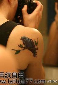 Beautiful bird tattoo on the shoulder