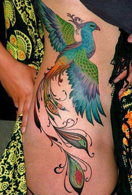 grožio juosmuo populiarus kietų spalvų fenikso tatuiruotės modelis