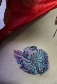Xiao Man cintura patrón de tatuaxe escorpión velenoso