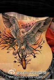 腰部彩绘猫头鹰纹身图案