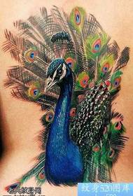 Awọ tatuu awọ peacock tattoo tattoo