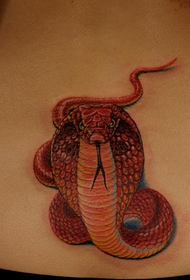 midje god farge Cobra tatoveringsmønster