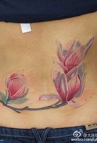 Magnolia grandiflora alvo gradibus Exemplum tattoo