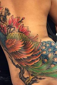 good-looking painted peacock tattoo on the back