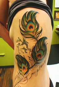 Pas sa pozerá na tetovanie Peacock Feather