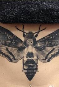sexy female waist moth tattoo pattern picture