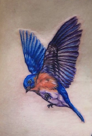 midja färg fågel skata tatuering tatuering bild