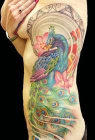 Side waist painted peacock tattoo pattern