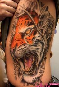 persona moda flanko talio reganta tigro tatuaje tatuaje bildo