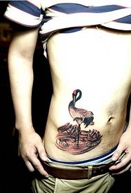 personal male side waist classic fashion red-crowned crane tattoo picture