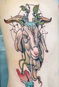 Cintura personal doce zodiaco ovejas tatuaje patrón foto
