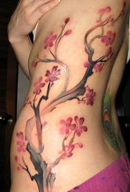 လှပသောခါးလှပလှပသော Plum tattoo